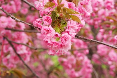 徐州泉山区线下个人借款平台一站式服务，轻松解决资金难题