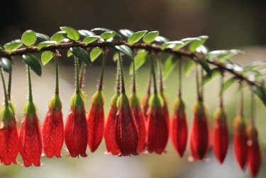 徐州泉山区零用贷短借：轻松解决临时资金需求
