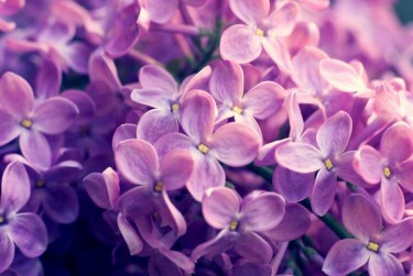 徐州泉山区企业急用钱贷款攻略：快速融资解燃眉之急